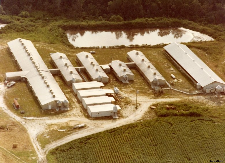 Murphy Farms sow barns North Carolina